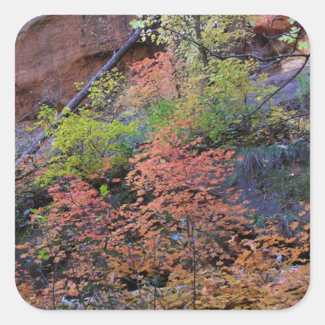 Höst färger överallt fyrkantigt klistermärke (Framsida)