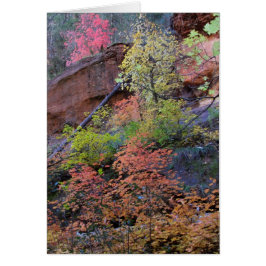 Höst färger överallt hälsningskort