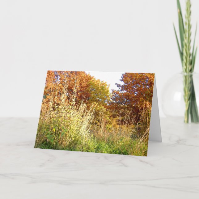 Höst färger på chartern Oak Park, Peoria, IL Kort (Framsida)