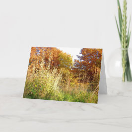 Höst färger på chartern Oak Park, Peoria, IL Kort