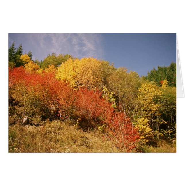 Höst färger på Mt.-huvan OBS Kort (Framsidan Horizontal)