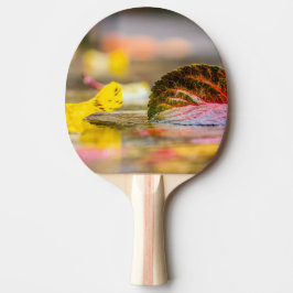 Höst färger pingisracket