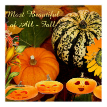 Höst färger Pumpkins Jack o lantern