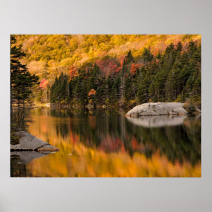Höst färger reflekterad på Beaver Pond Poster