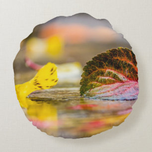 Höst färger rund kudde