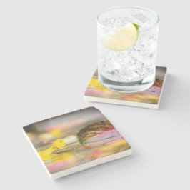 Höst färger stenunderlägg