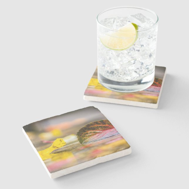 Höst färger stenunderlägg (Sidan)