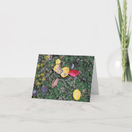 Höst färger sympatikort kort