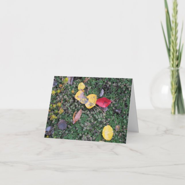 Höst färger sympatikort kort (Framsida)