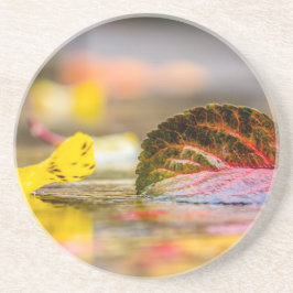 Höst färger underlägg