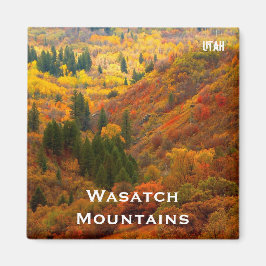Höst färger, Wasatch-bergen, norra Utah Magnet
