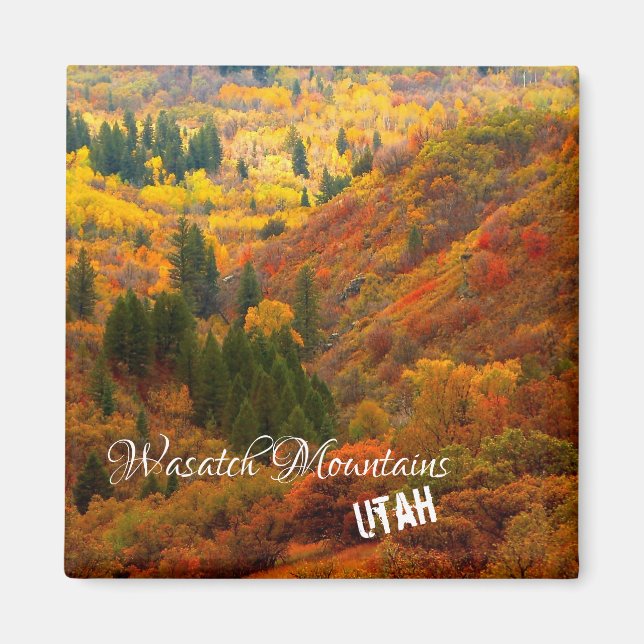 Höst färger, Wasatch Mountain, norra Utah Magn Magnet (Framsidan)