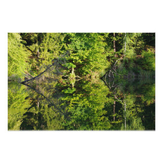 Höst Fototryck