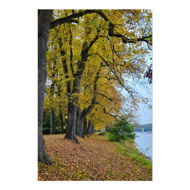 Höst  fototryck (Framsidan)