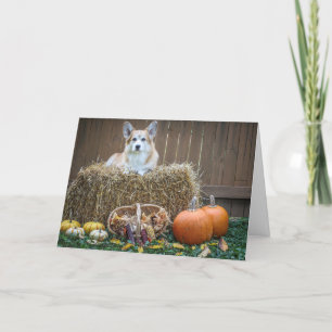 Höst/Halloween Corgi tom kort