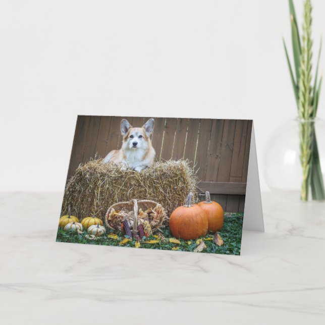 Höst/Halloween Corgi tom kort (Framsida)