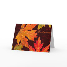 Höst hälsning för skottpengarthanksgiving