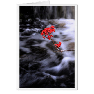 Höst Hälsningskort