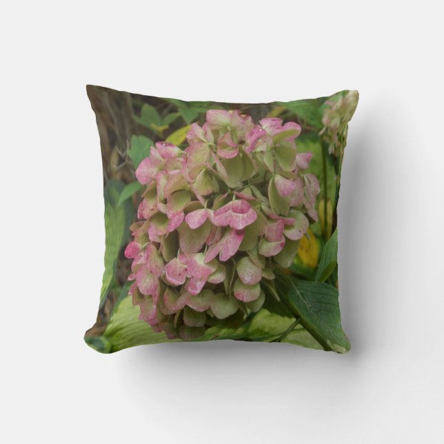 Höst Hortensia Blommar med Gyllene Hosta Blad Kudde (Framsida)