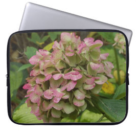 Höst Hortensia Blommar med Gyllene Hosta Blad Laptop Fodral