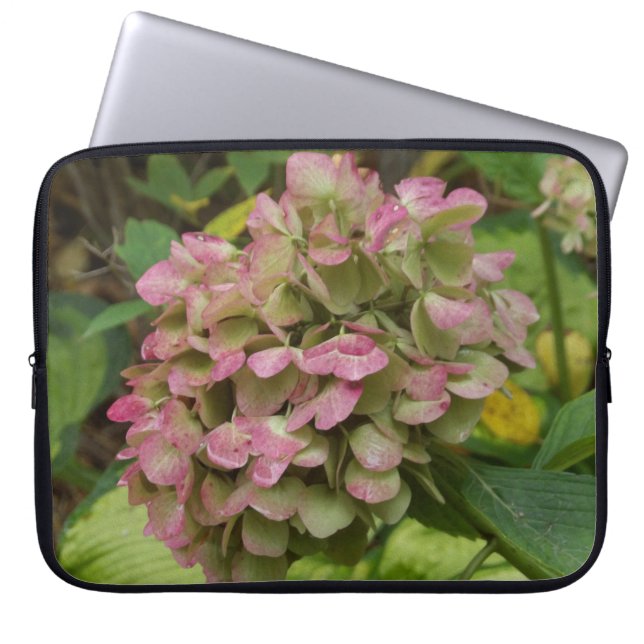 Höst Hortensia Blommar med Gyllene Hosta Blad Laptop Fodral (Framsidan)