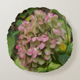 Höst Hortensia Blommar med Gyllene Hosta Blad Rund Kudde