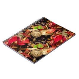 Höst Höst löv, kastanjer, svampfoton Anteckningsbok Med Spiral