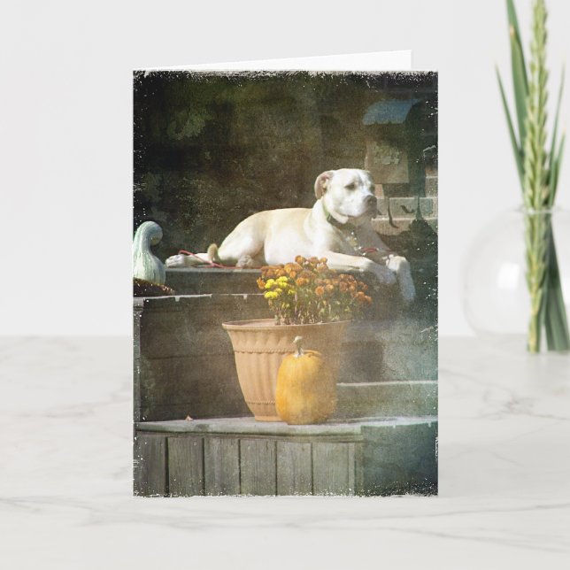 Höst Hund Kort (Framsida)