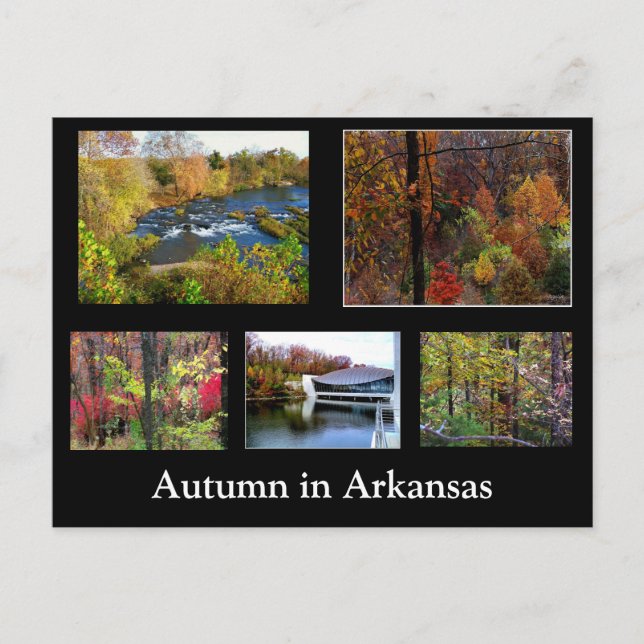 Höst i Arkansas Fotografi vykort (Framsida)