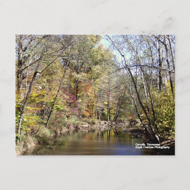 Höst i Caryville, Tennessee Vykort (Framsida)
