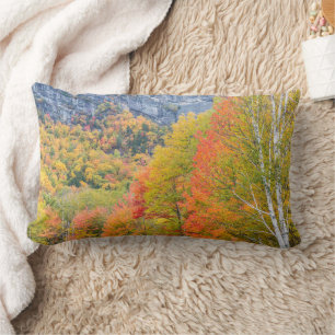Höst i Grafton Notch State Park, Maine Lumbarkudde