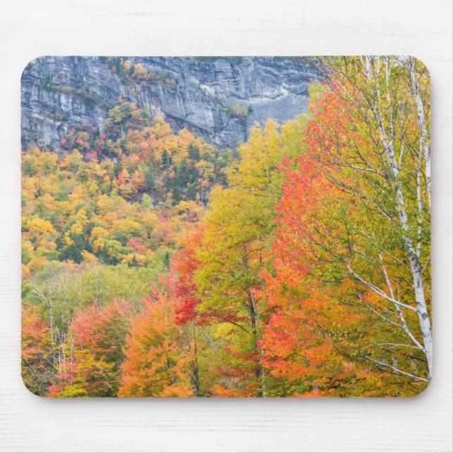 Höst i Grafton Notch State Park, Maine Musmatta (Framsidan)