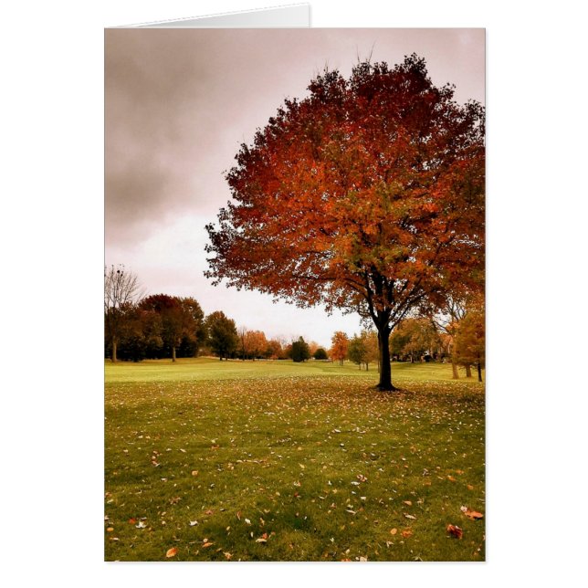 Höst i Iowa Hälsningskort (Framsidan)