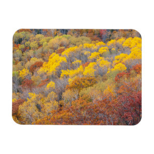 Höst i Michigan Magnet