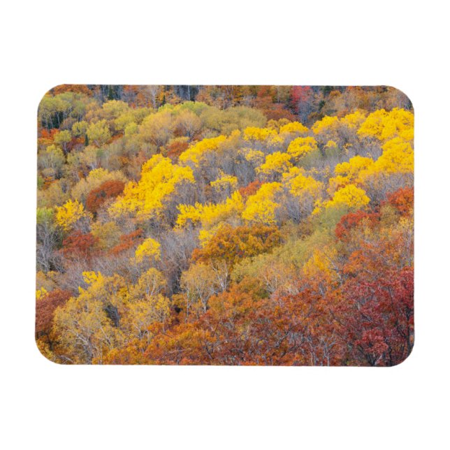 Höst i Michigan Magnet (Horisontell)