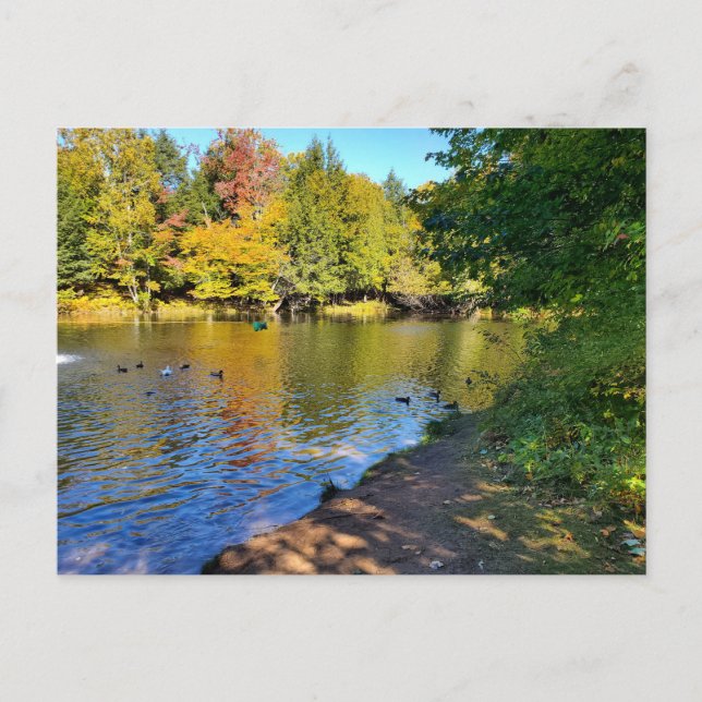 Höst i Michigan Vykort (Framsida)