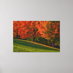Höst i New England Gallery Wrap Canvas