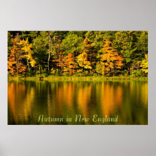 Höst i New England Print Poster