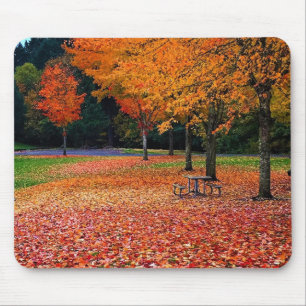 Höst i parken musmatta