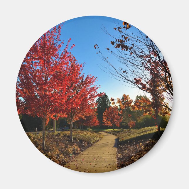 Höst i parken, Oregon Magnet (Framsidan)
