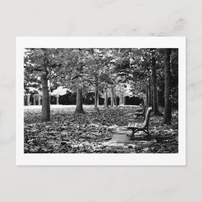 Höst i parken: Tokyo Vykort (Framsida)