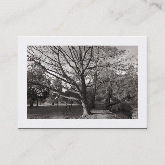 Höst i parken (vid gränsen) visitkort (Framsida)