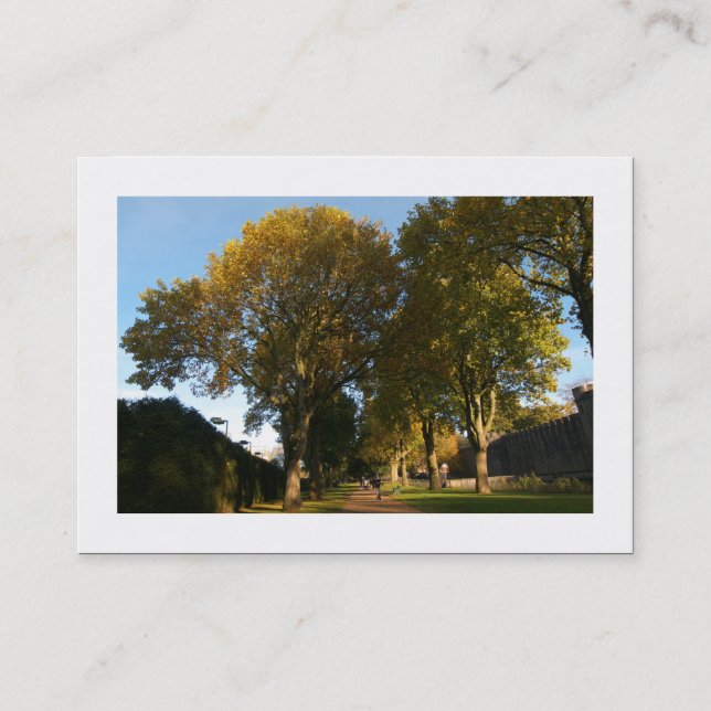 Höst i parken (vid gränsen) visitkort (Framsida)