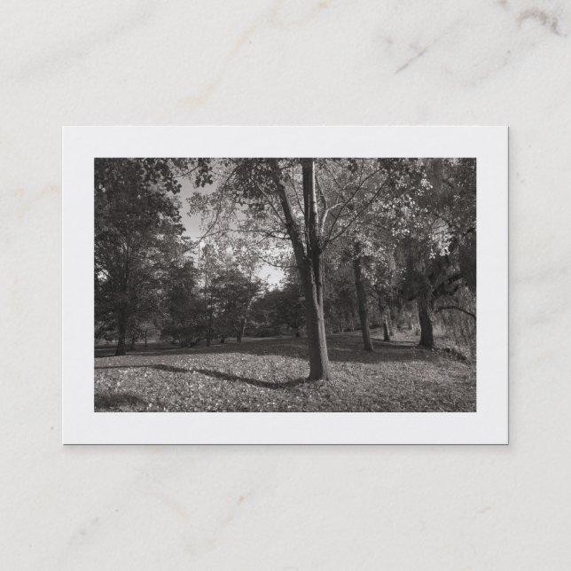 Höst i parken (vid gränsen) visitkort (Framsida)