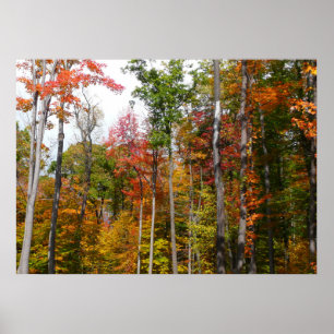 Höst i skogen Färgrik höstfotografi Poster