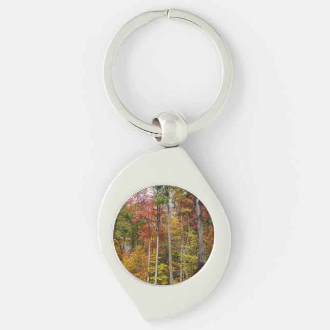 Höst i skogen Färgrik höstfotografi Swirl Silverfärgad Nyckelring (Framsidan)