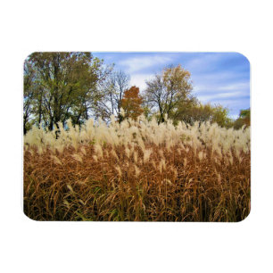 Höst i Wisconsin Magnet