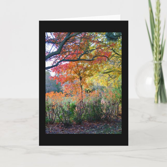 Höst Kort (Framsida)