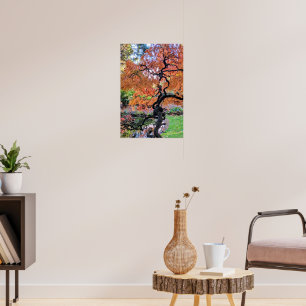 Höst Laceleaf Japansk Lönn Botanisk Poster