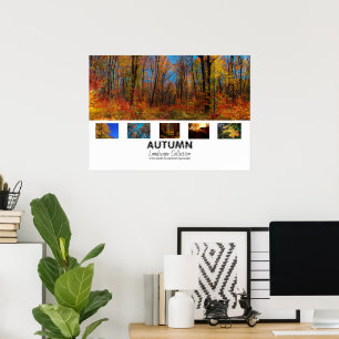 Höst Landskapsinsamling Poster